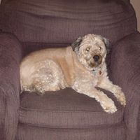 Amy Carlisle Photo 26