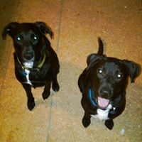 Brenda Klinger Photo 11