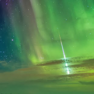 Timothy O'Connor Photo 29