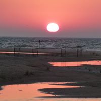Janet Egger Photo 3