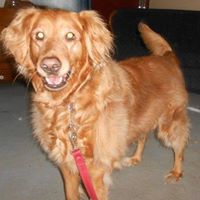 Jacqueline Keyes Photo 14