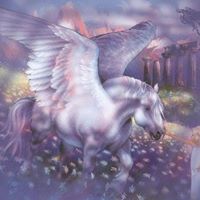 Susan Brothers Photo 19