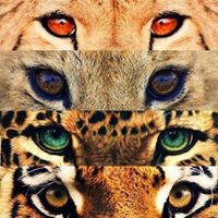 Ricardo Osorio Photo 29