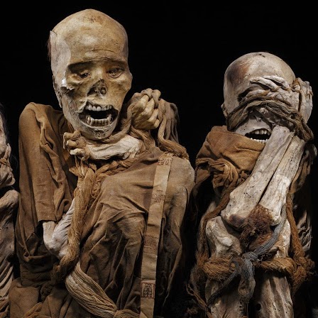 Angela Hamill Photo 12