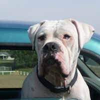 Marcie Smith Photo 40