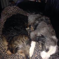 Donna Jacobsen Photo 19