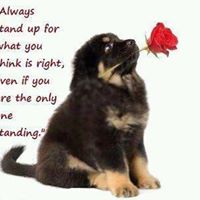 Rosemary Wheeler Photo 11