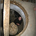 Sherri Davis Photo 6