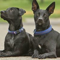 Gregory Walters Photo 10 Gregory Walters Photo 10