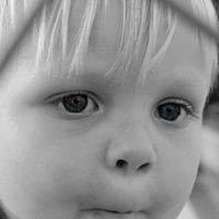 Jennifer Cowden Photo 13