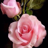 Kimberly Stover Photo 6