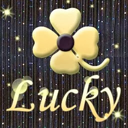 Timothy Kennedy Photo 13