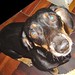Judy Amado Photo 7