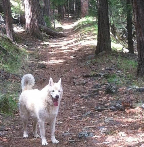 Betsy Webster Photo 6