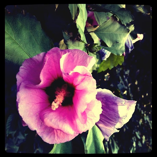 Candace Coker Photo 4