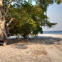 Debbie Oliver Photo 24