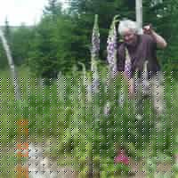 Sharon Kuhn Photo 10