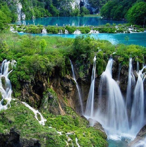 Donna Rich Photo 33 Donna Rich Photo 33