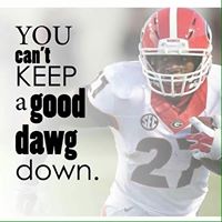 Jesse Hooper Photo 18