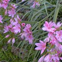 Arlene Riley Photo 6