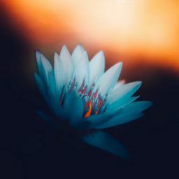 Katherine Stevenson Photo 18 Katherine Stevenson Photo 18