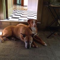 Drew Mayfield Photo 8