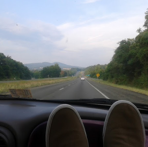 Robert Rollins Photo 27