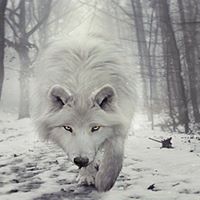 Ruth Mcneil Photo 13