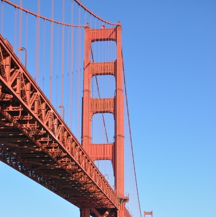 Cindy Casey Photo 13