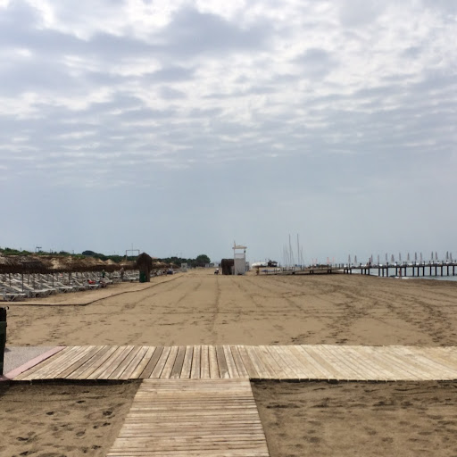 Stephen Kidd Photo 29