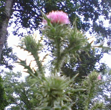 Wendy Godfrey Photo 18