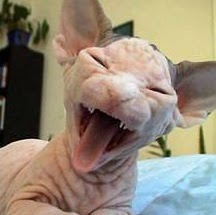 Lawrence Townsend Photo 22