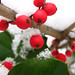 Holly Long Photo 20