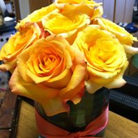 Allison Neal Photo 18