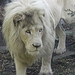 Bobby Manes Photo 9
