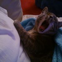 Vickie Stanley Photo 14