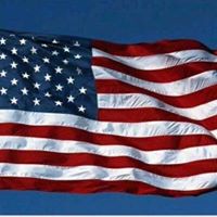 Amy Mcneill Photo 14