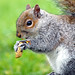 Sherry Stevens Photo 6