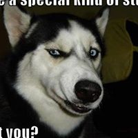 Summer Mitchell Photo 27