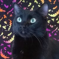 Elizabeth Steed Photo 19