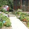 Ann Phillips Photo 8
