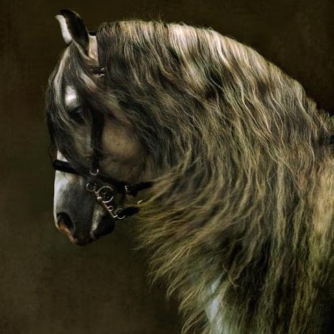 Jesus Cavazos Photo 18