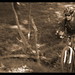 Gary Schaeffer Photo 24