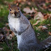 Danny Nutter Photo 19