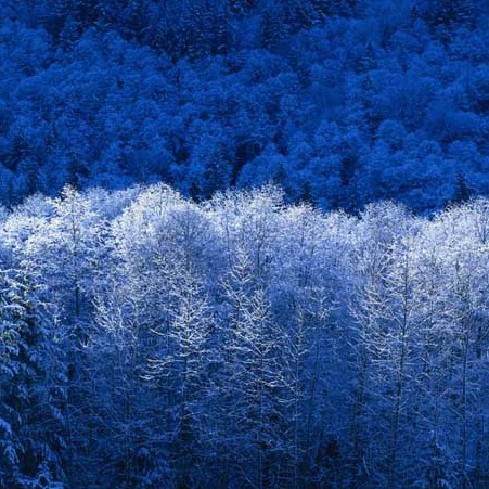 Richard Nix Photo 15