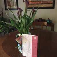 Janet Dawson Photo 39