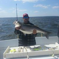 Darryl Terry Photo 12