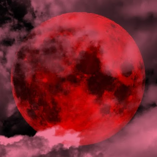 Brandon Lackey Photo 27