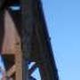 Laura Wiese Photo 8