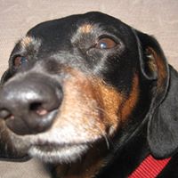 Steven Jacobson Photo 41 Steven Jacobson Photo 41